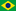 Português